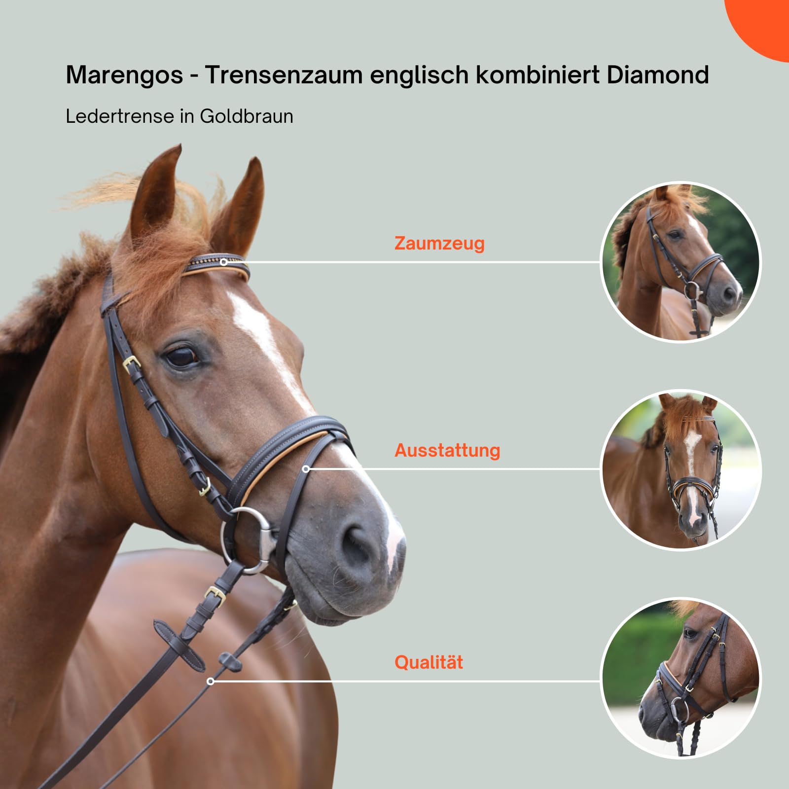 Marengos - Trensenzaum englisch kombiniert Diamond Braun/Gold Pony