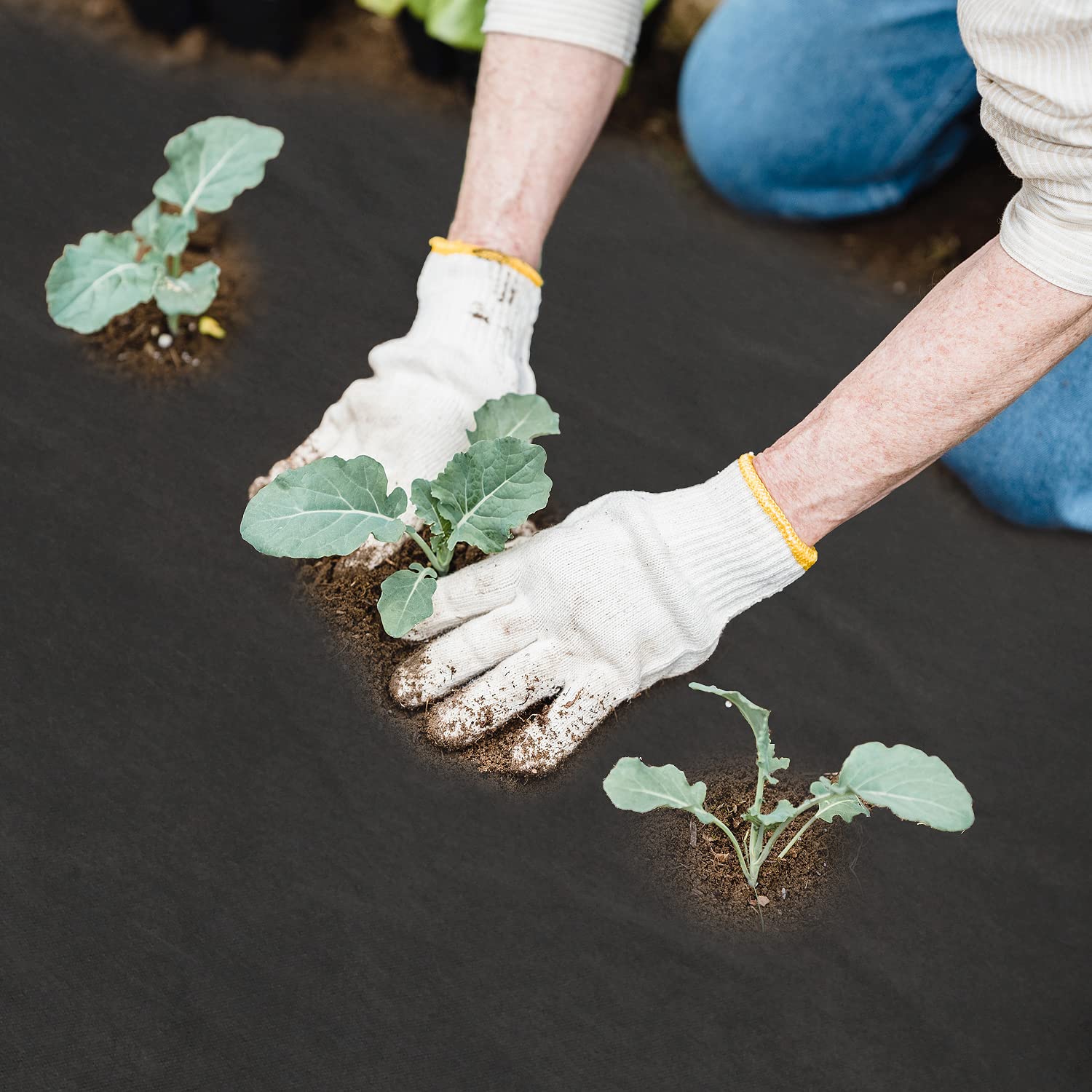 Sekey Unkrautvlies 1x50m – Starkes Gartenvlies Gegen Unkraut, Wasserdurchlässig & UV-stabil – 150g/m²