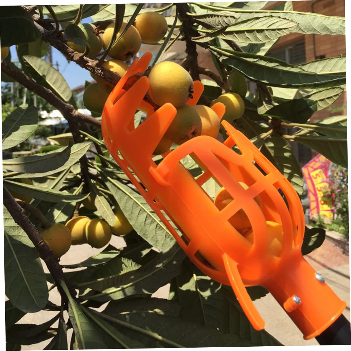Strumento raccoglifrutta, 2 Pezzi raccogli Facilmente Frutta, Pratica raccoglitrice per Arance, Piccoli Frutti, Senza Asta
