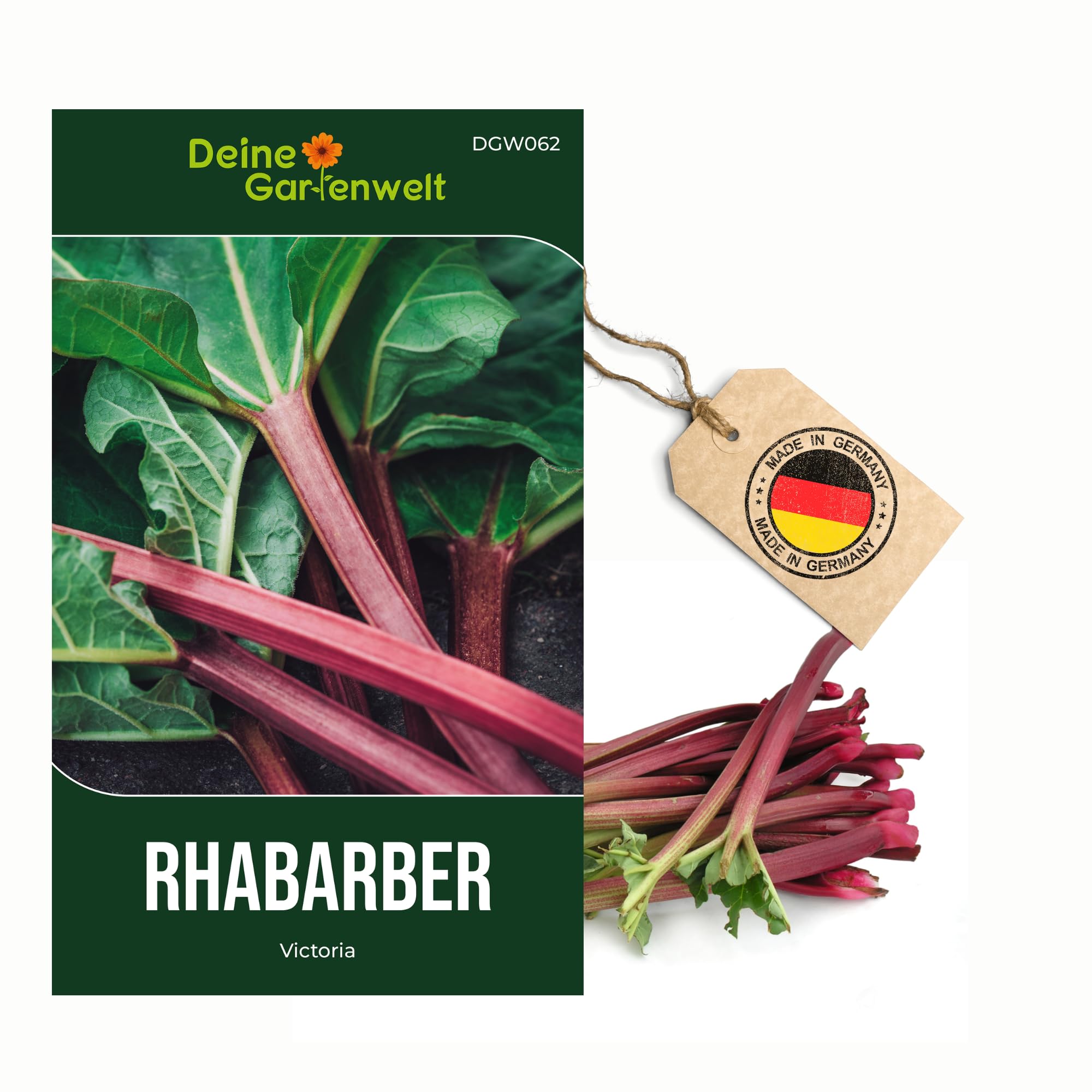 bio saatgut getreide BIO Saatgut Getreide Winterdinkel  Biogartenladen
