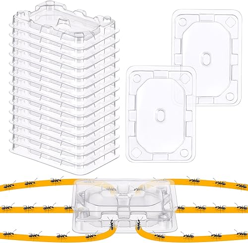 Qualirey Juego de 8 estaciones de cebo para hormigas reutilizables (cebos no incluidos), trampa para hormigas multisuperficie para el hogar, control