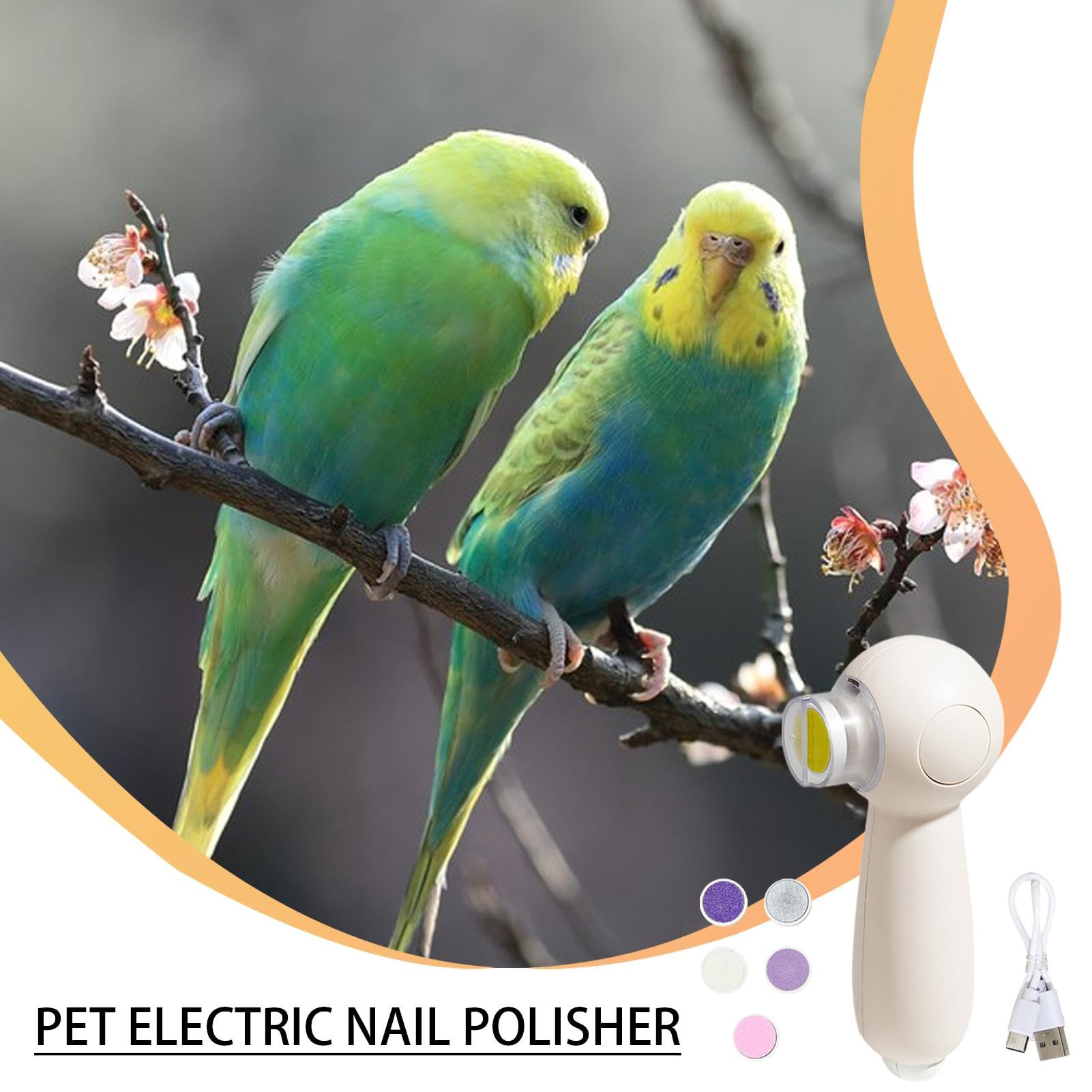 Parrot Beak Trimmer | Noiseless Rechargeable Beak Trimmer - Gentle Grooming Tool, Nail Trimming Machine with 6 Grinding Heads for Budgerigars
