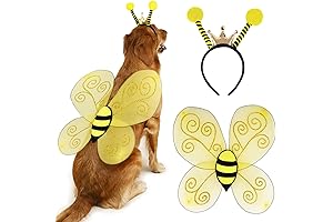 Bumble Bee Dog Costume Set: Halloween Costume for Large Dogs