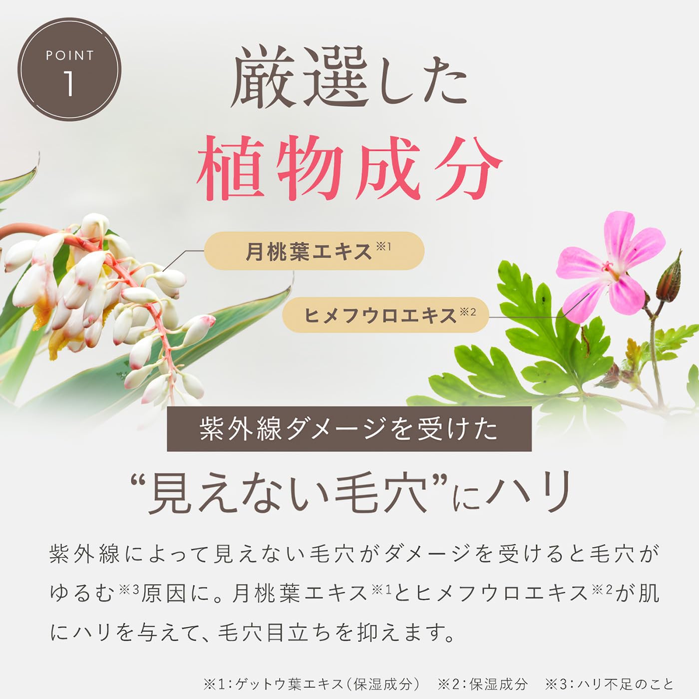 Amazon.co.jp: 草花木果 そうかもっか マスクジェル C 90g ビタミンC