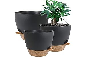 Large Self Watering Pots for Indoor Gardens