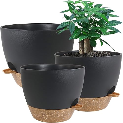 UOUZ Macetas grandes de riego automático, macetas de plástico 12109 con agujeros de alto drenaje y depĂłsito profundo para plantas y flores de jardĂn UOUZ Macetas grandes de riego automático, macetas de plástico 12109 con agujeros de alto drenaje y depĂłsito profundo para plantas y flores de jardĂn