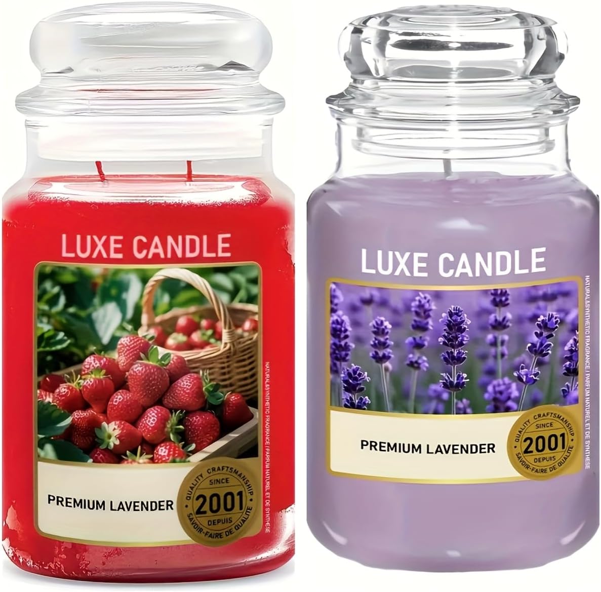 2-Pack - 23 Oz 80-Hour Long Burn Candles, Including Halloween-Themed Candles, Halloween Gifts, Holiday Presents (Eucalyptus Breeze+Lavender)