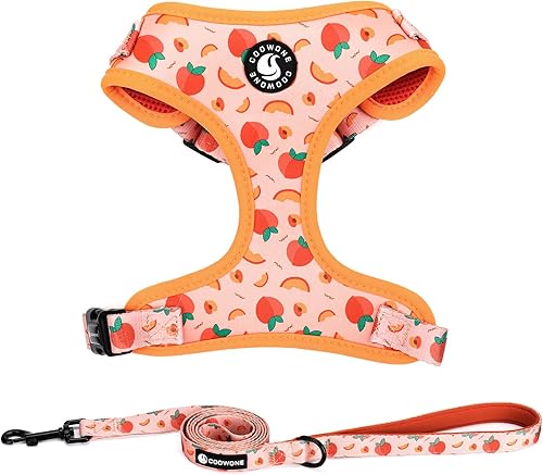 Juego de arnés y correa para perro, arnés ajustable para perro, correa para perro, arnés para cachorros sin tirones ni estrangulamiento para