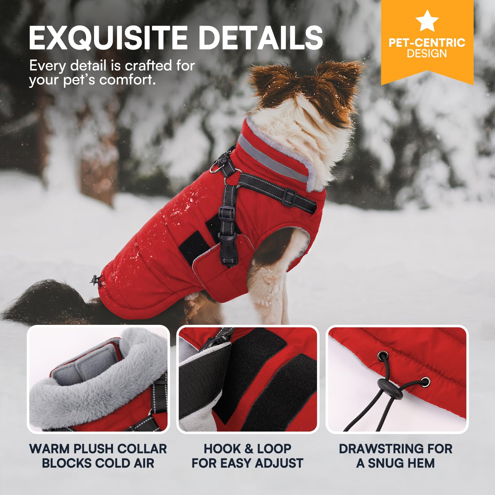 Queenmore Wintermantel Hund Warmer Wasserdichter Hundemantel Dackel Mantel