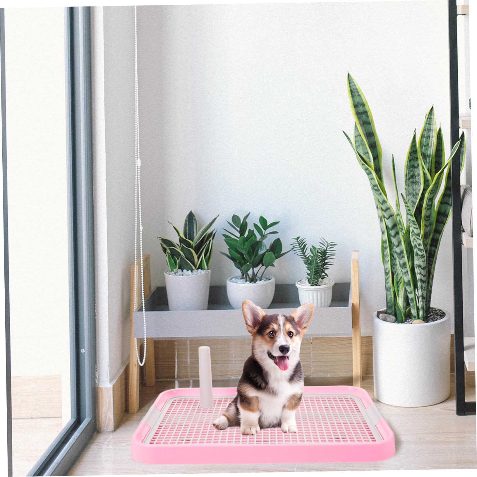 DOITOOL Toilette per Cani con Colonna Ergonomica e Antiscivolo Vasino Addestramento Cucciolotti di Taglia Piccola e Media Igienico e Facile da Pulire Rosa