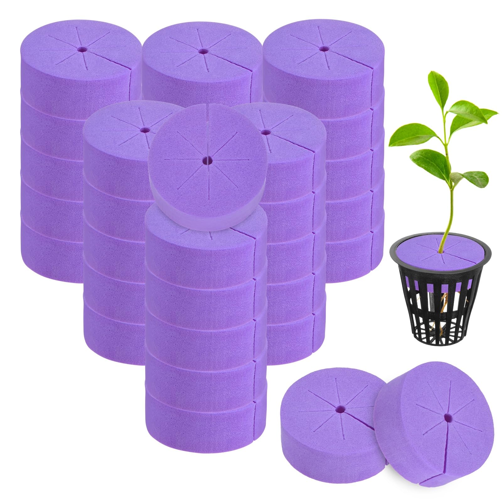 M METERXITY 60-Pack Cloning Collars Inserts, Hydroponics Sponge Systems Cloning DIY Foam Cloner Inserts Fits 2" Net Pots for Hydroponic/DIY Cloner/Clone Machines/Plant Germination [Purple]