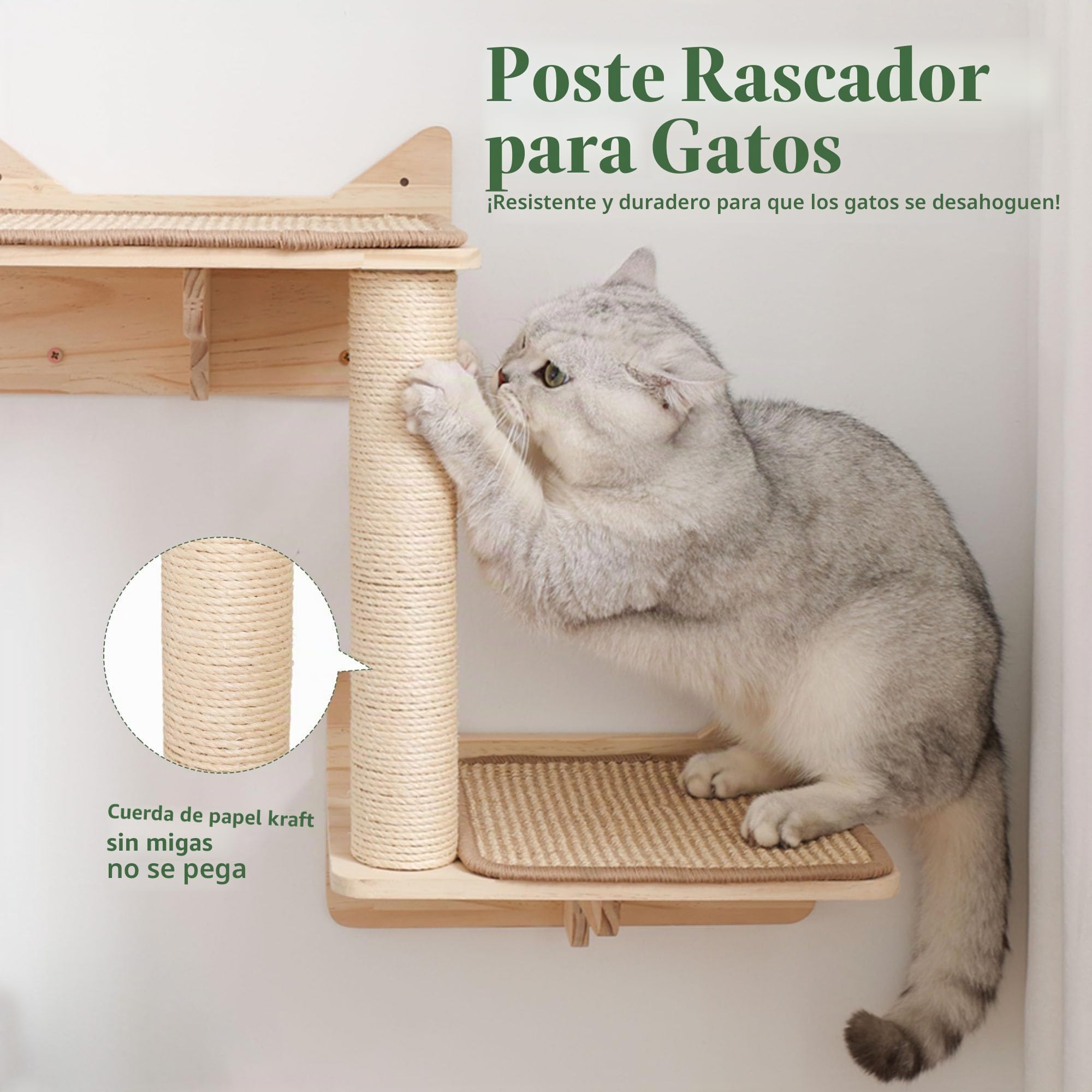 Juego de estantes de pared para gatos – Muebles para gatos montados en la pared con casa, alfombrilla de sisal, postes rascadores y posaderos – Estantes de escalada para interiores para gatos