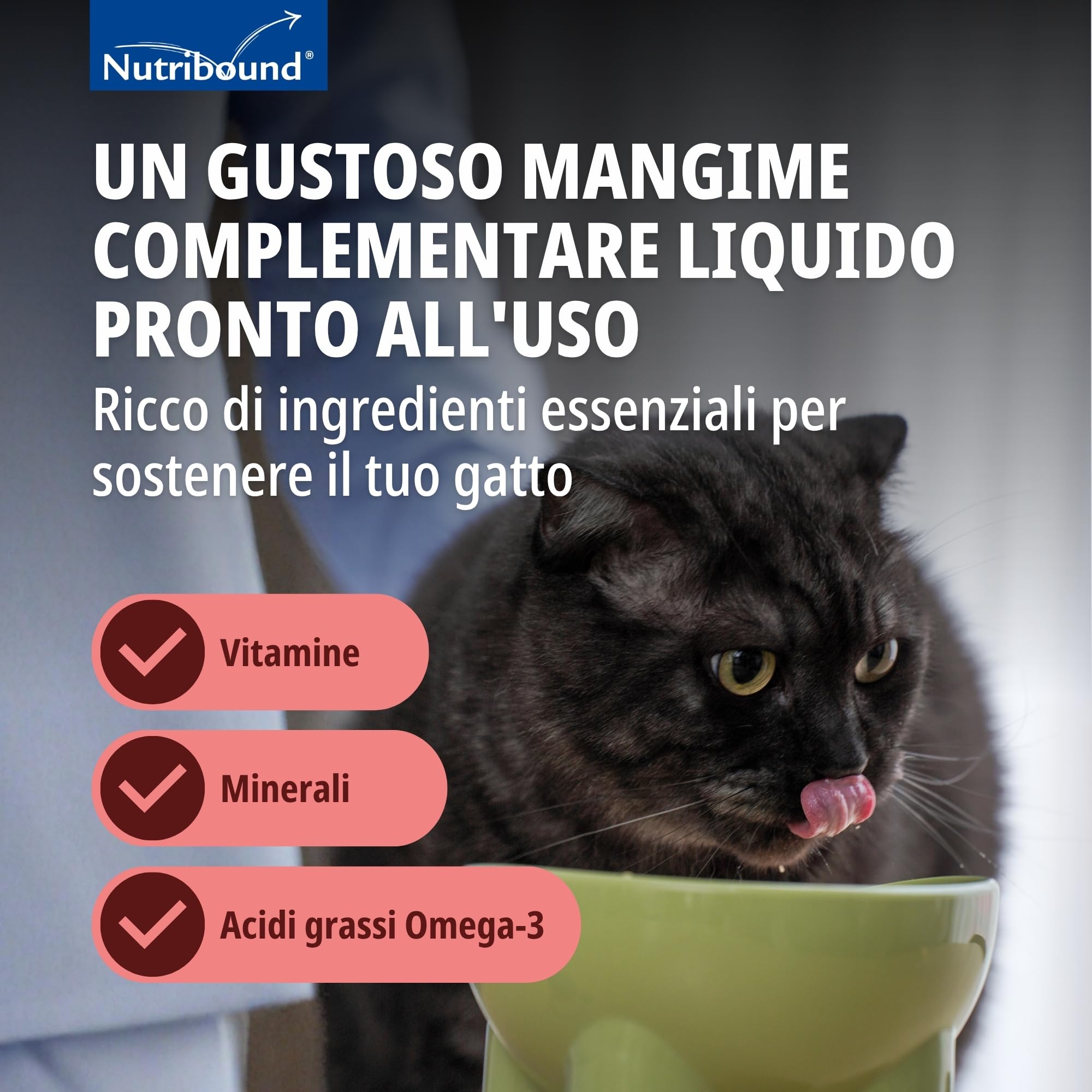 nutrib ound Gatto