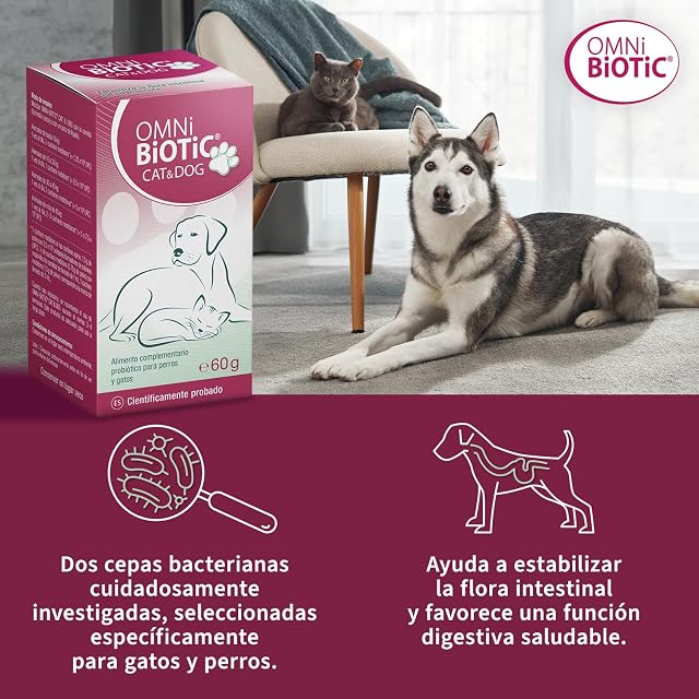 Foto 2 de 8 de OMNi BiOTiC Cat & Dog, 60g, Probiótico para Perros y Gatos