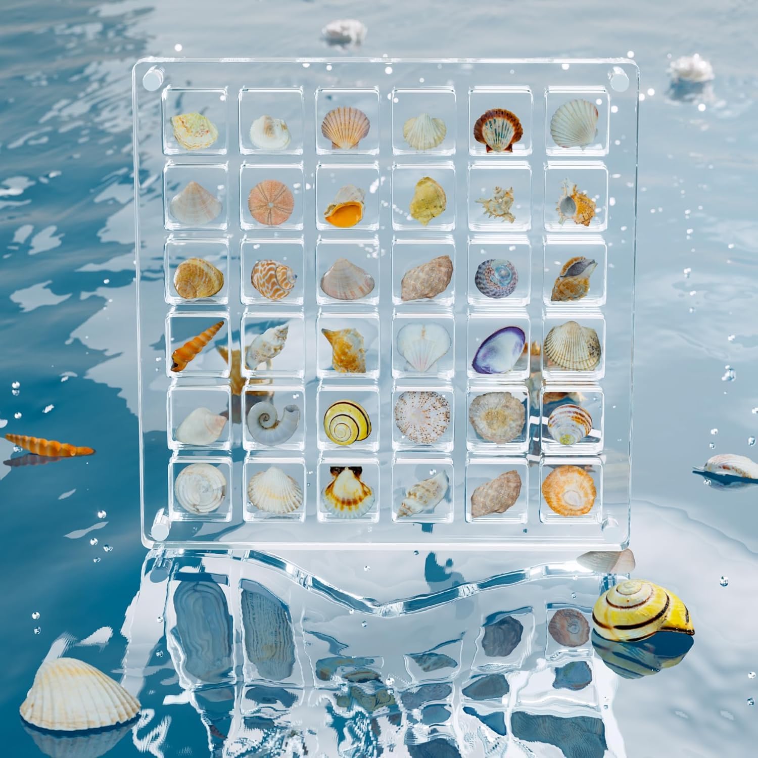 Miantev 1.5*1.5cm Acrylic Magnetic Seashell Display Box with 36 Grids,Acrylic Organizers for Seashells,Diamonds, Gemstones, Pins, Coins,Starfish, Beach Souvenirs