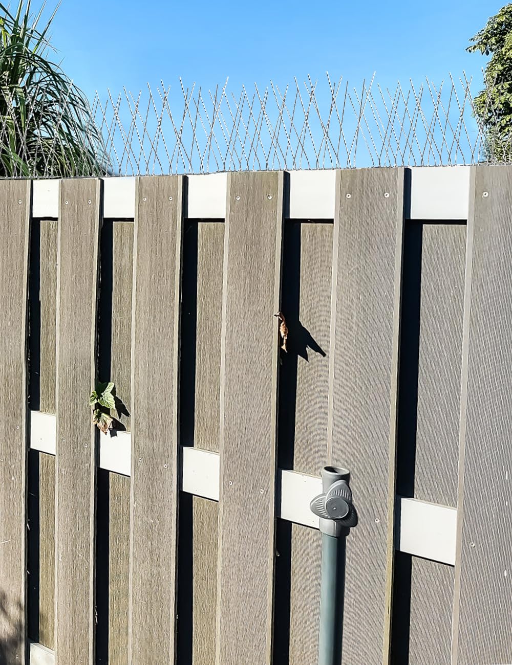 wohohoho Taubenabwehr Spikes Edelstahl Vogelabwehr, Vogelabwehr Spike (5m /20 Stück) Taubenspikes für Balkon Vogel abschreckung Abwehr Gegen tauben