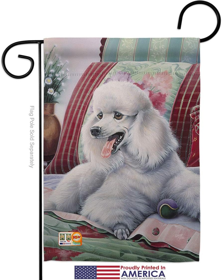Poodle Garden House Flags Kit Animals Dog Puppy Spoiled Paw Canine Fur Pet Nature Farm Animal Creature Small Decorative Gift Yard Banner Made In USA 28 X 40