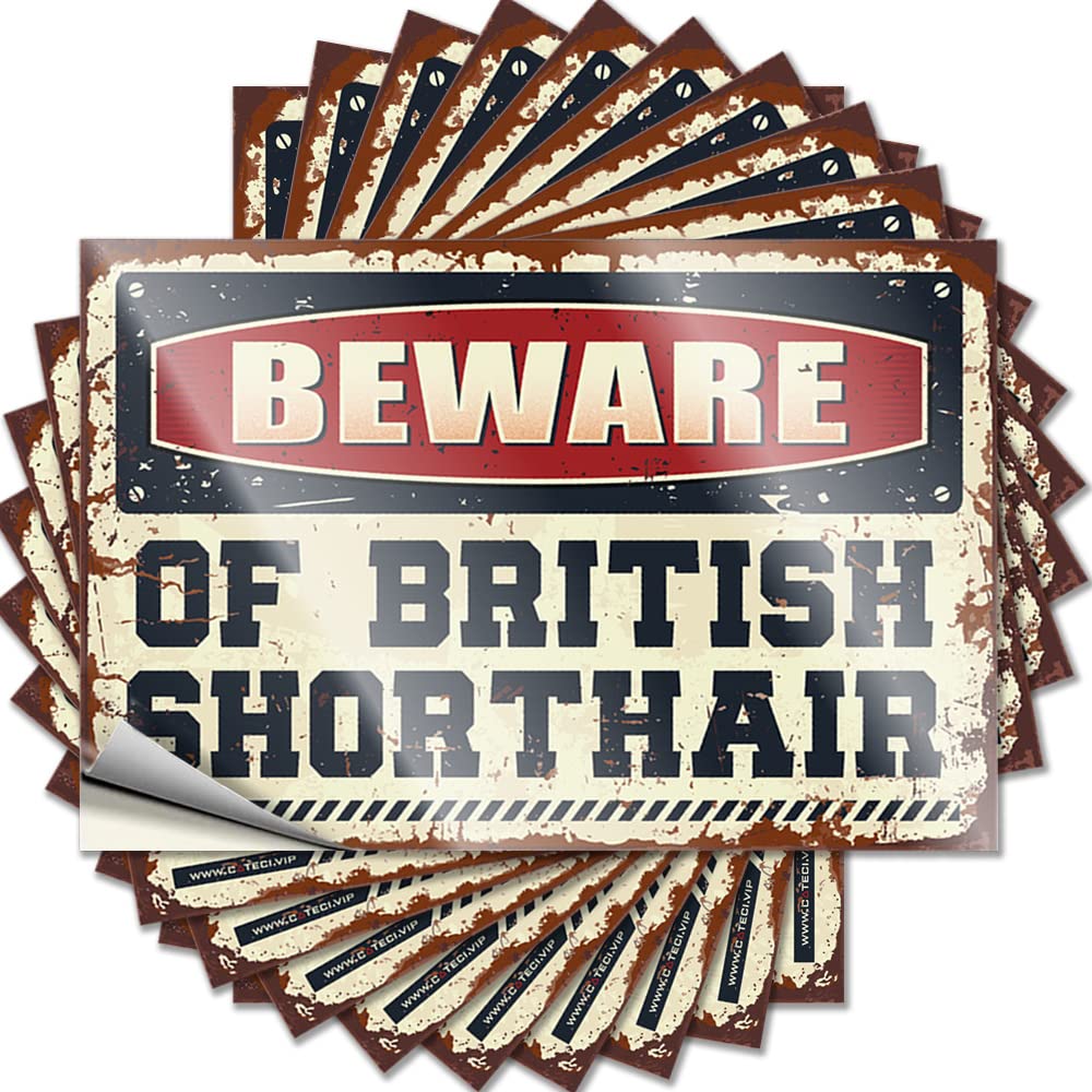 Funny Sticker Beware of British Shorthair Funny Sticker 10 Pcs Car Stickers Decal Stickers for Cars(6X9CM)
