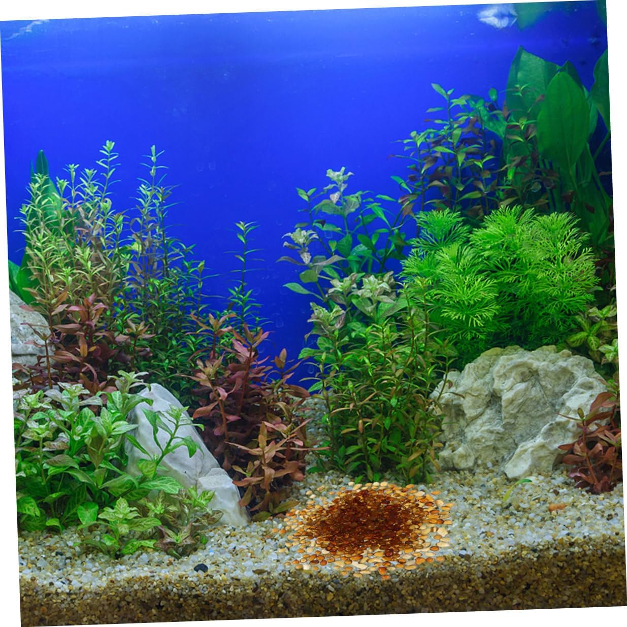 TOYANDONA Fish Tank Gravel and Pebbles Set, Natural Colored Aquarium Substrate with China Red and Amber Stones, 500g Bulk Decorative Gravel for Indoor Plants and Fish Tank Landscaping