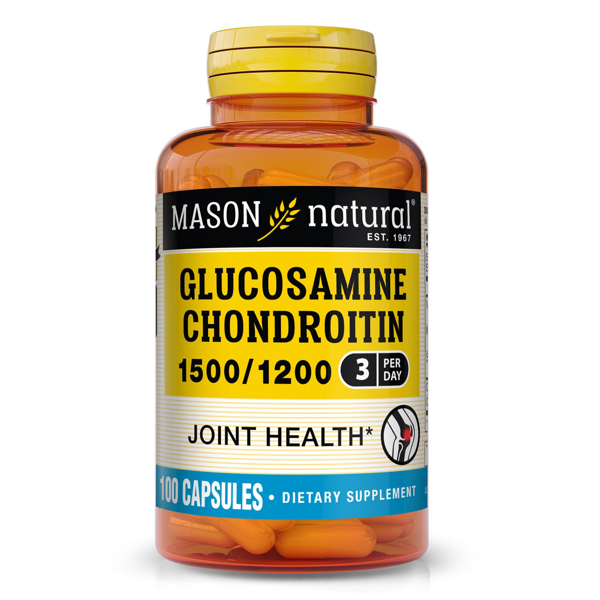 MASON NATURAL Glucosamine Chondroitin