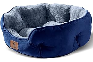 Cozy Blue Getaway: Ultimate Comfort for Your Feline Friend