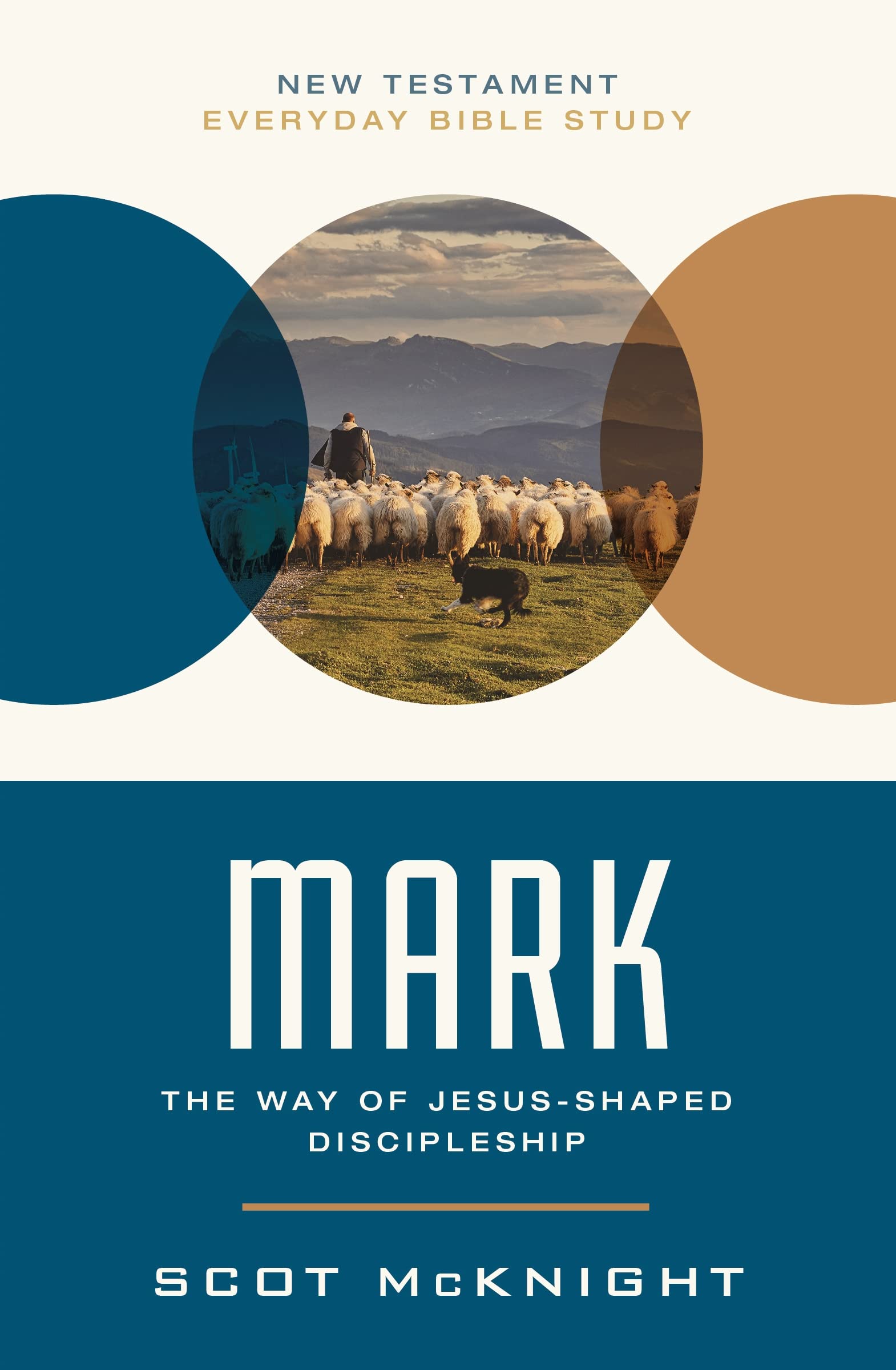 Mark: The Way of Jesus-Shaped Discipleship (New Testament Everyday Bible Study Series)