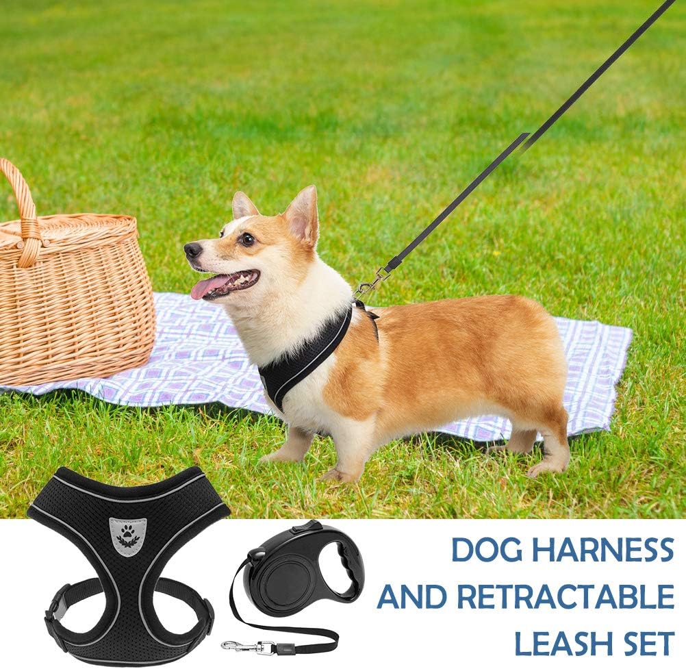 Dog Harness with Leash Set for Small Dogs, Soft Mesh Puppy Harness and Retractable Dog Leash, No Pull Padded Vest with 16.4 FT Leash for Small Breeds Dogs & Cats