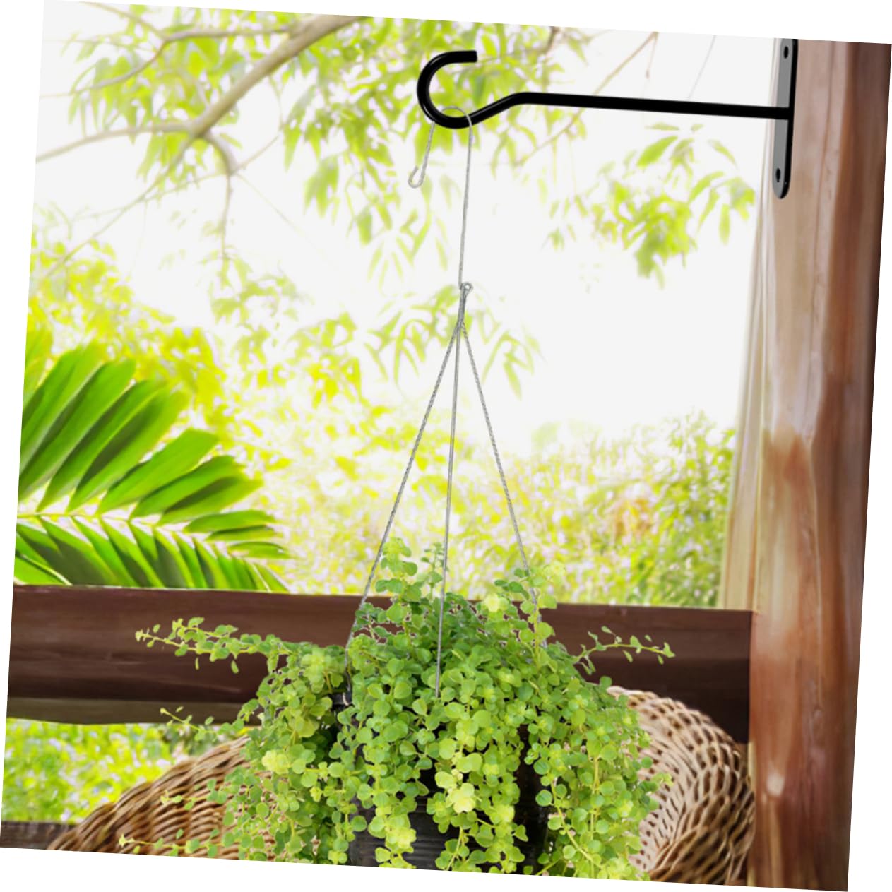 BESTonZON 8 Ensembles Panier de Suspendu Crochet Crochets Plantes en Multi Usine monté cintres de jardinière Cintres à Fleurs Crochet Suspendu Noir