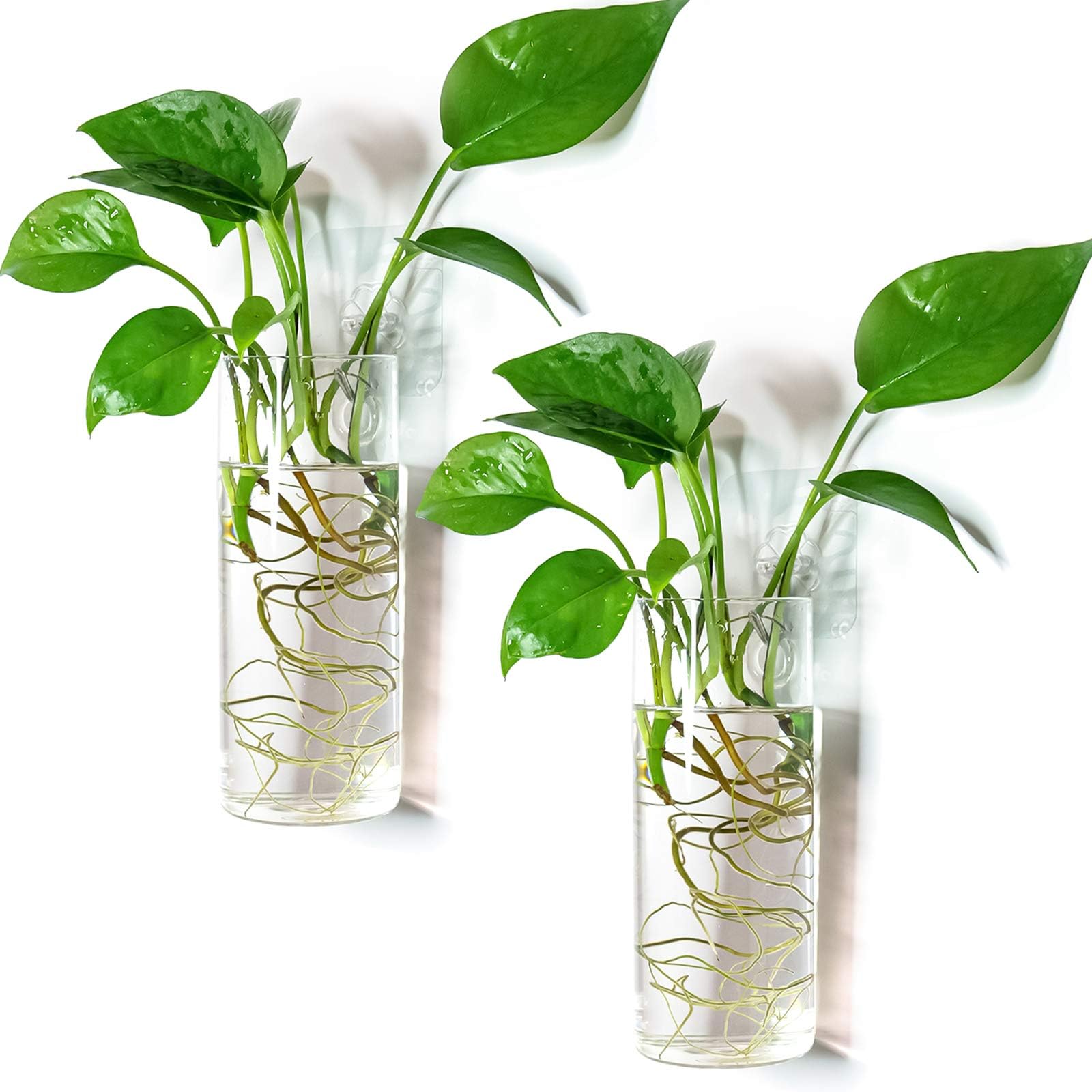 Wall Hanging Planter Glass Plant Propagation Station