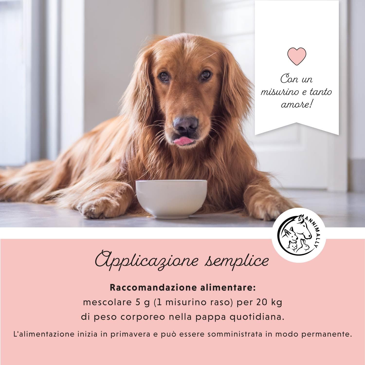 Addio Zecche in polvere per cani - 400g di polvere con olio di cumino nero, cisto, lievito di birra e alghe marine - Polvere efficace, completamente naturale come alternativa a compresse