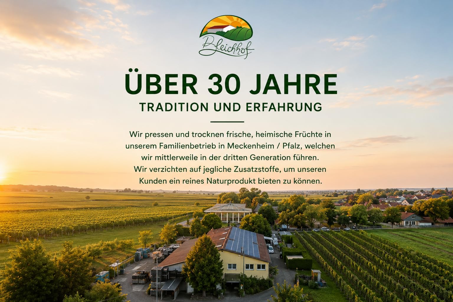 Bleichhof Bleichspargel (geschält und vakuumiert) - besonders lecker » aus eigenem Anbau « 100% naturbelassen - Premium-Qualität - erstklassiges gesundes Gemüse - violette Spitzen - 2 kg