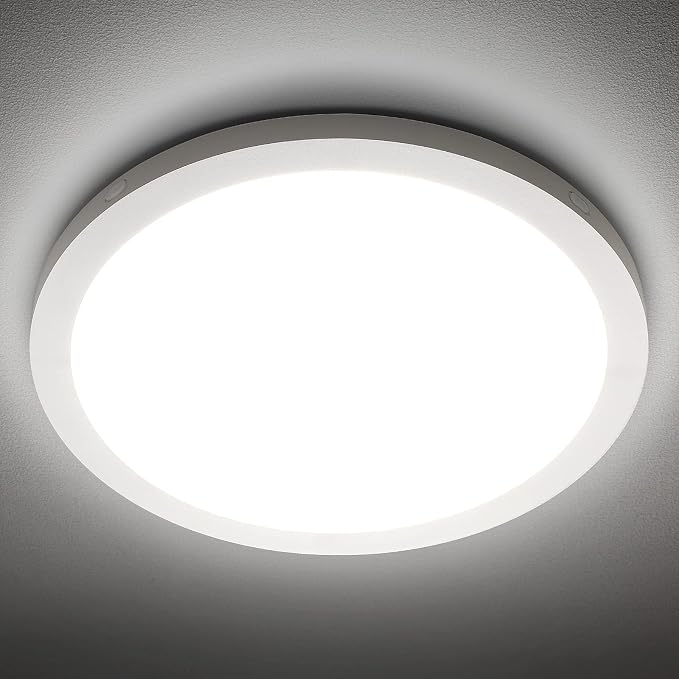 LED Flush Mount Ceiling Light Fixture, 5000K Daylight White, 2400LM, 12 Inch 24W Round Flat Ceiling Lights