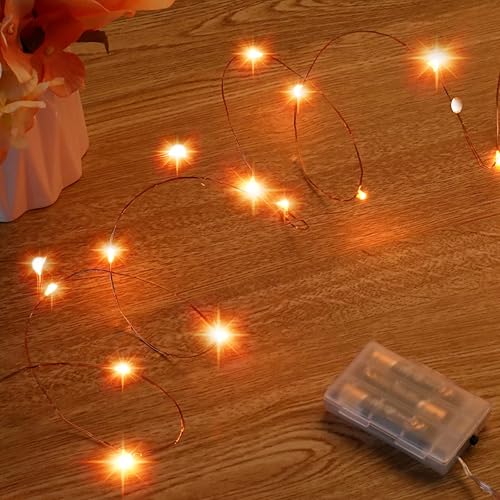 Ariceleo Mini guirnalda de luces de Halloween que funcionan con pilas, 1 paquete de luces nocturnas de alambre de cobre, 3 luces AAA para
