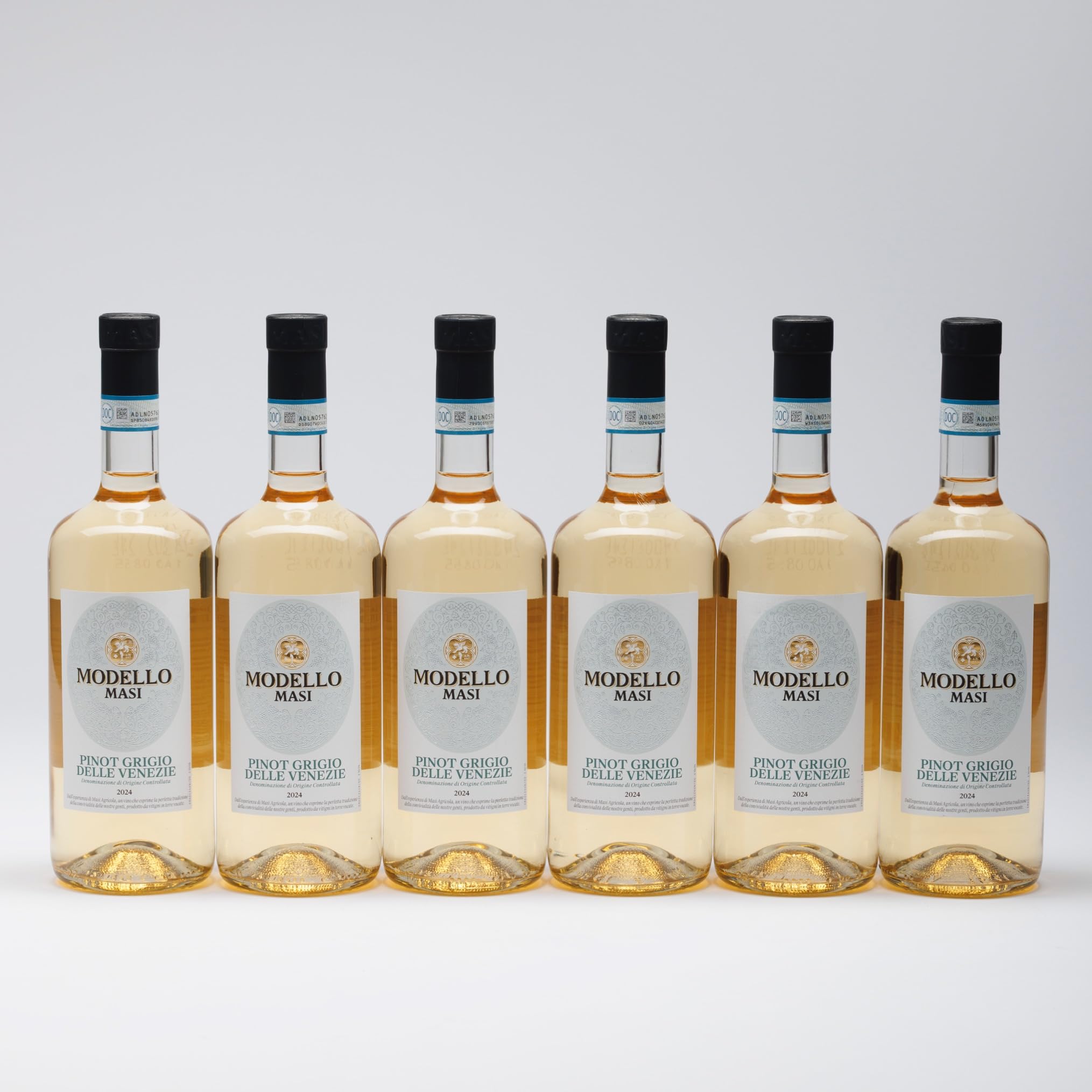 MASI "MODELLO PINOT GRIGIO" 2024 | Pinot Grigio delle Venezie DOC | 6x750 ml | Caja de 6 botellas