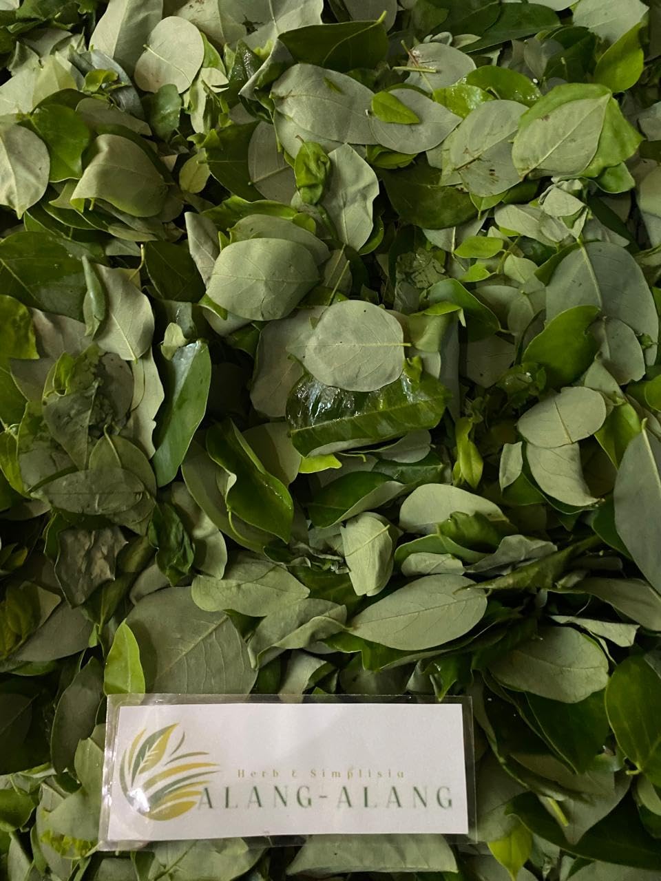 Daun Gamal - Gliricidia sepium Dried Leaf (80 Gram)