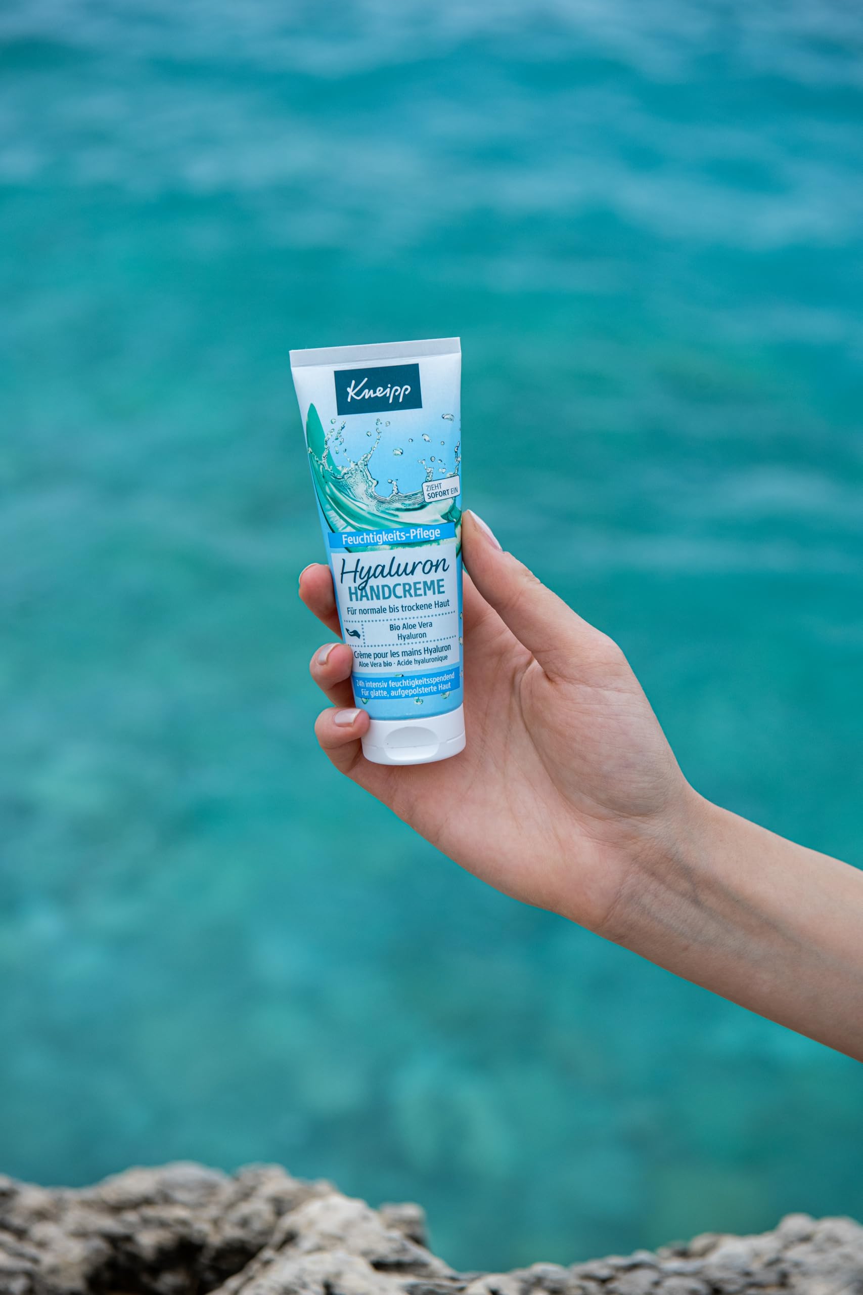 wie groß wird eine aloe vera pflanze Aloe vera - Aloe vera