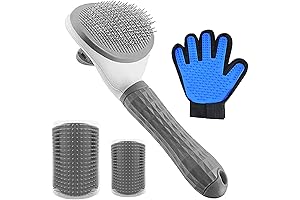 Cat Self-Grooming Kit: Purrfect Care for Felines