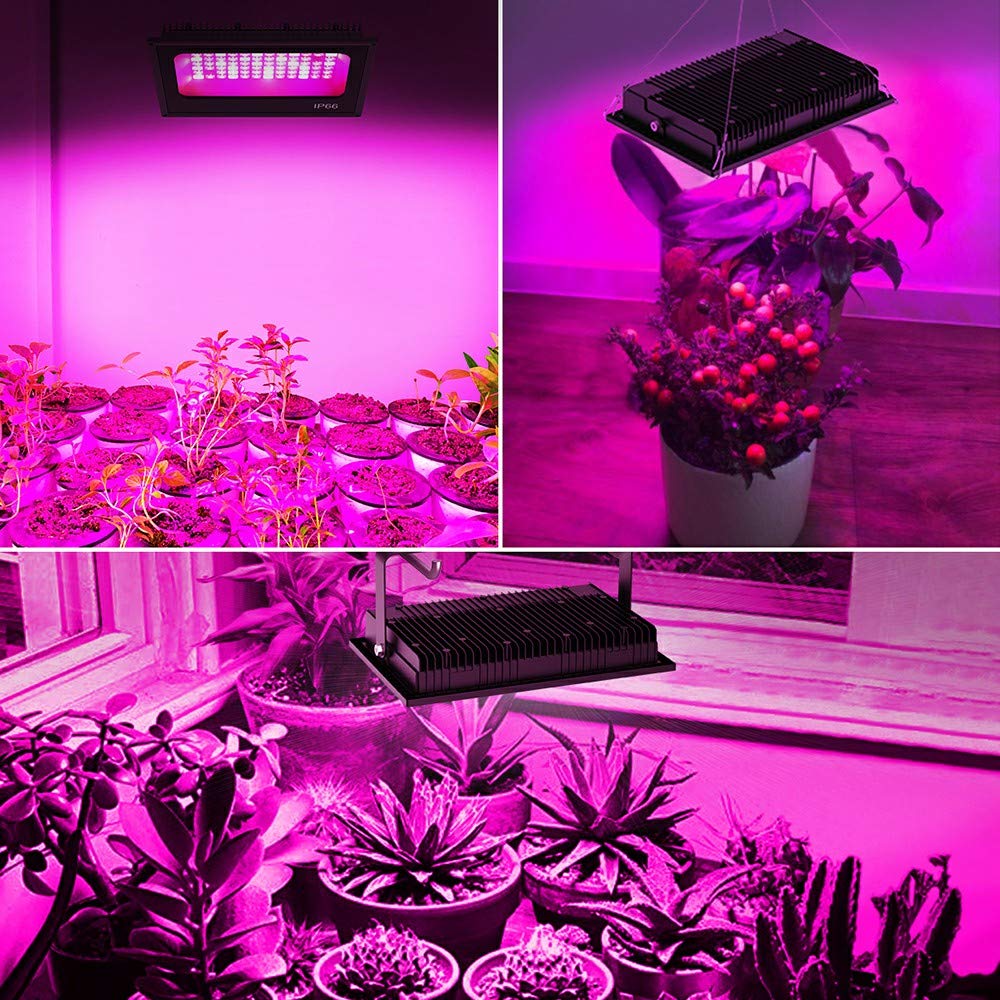 Olafus 300w led grow light Clearance