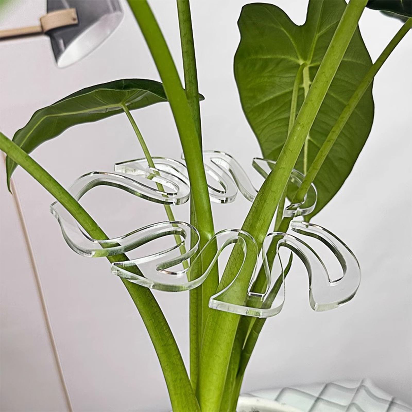 Supporti per Clip Supporto da Giardinaggio Gestione efficiente, Adatti per i Piccoli vasi Che per Le Clip Supporto per Piante in plastica per l ' Agricoltura Larga