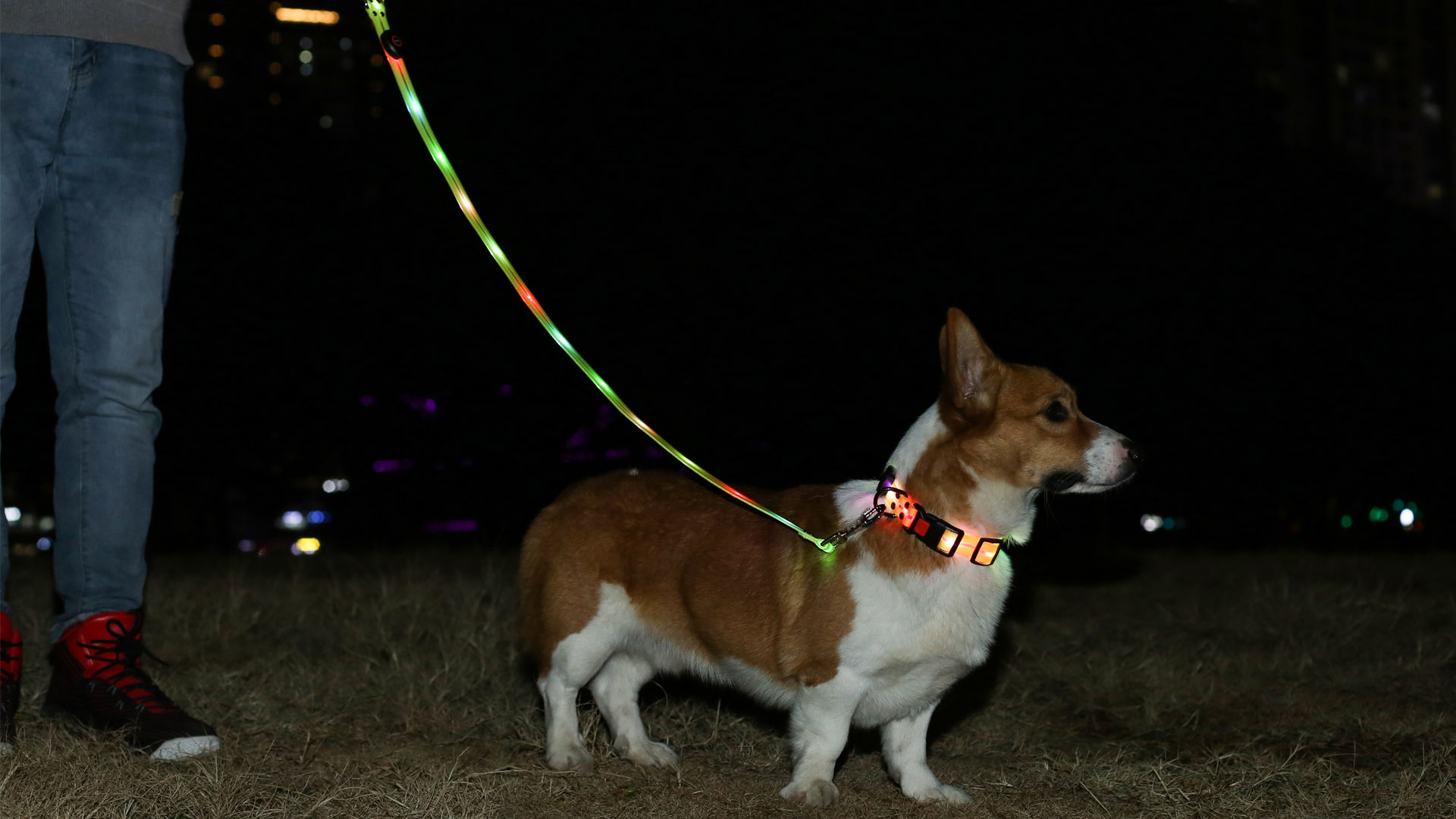 Light Up Led Armbands For Running Reflective Gear Flashing Led Sports Wristbands | Canada