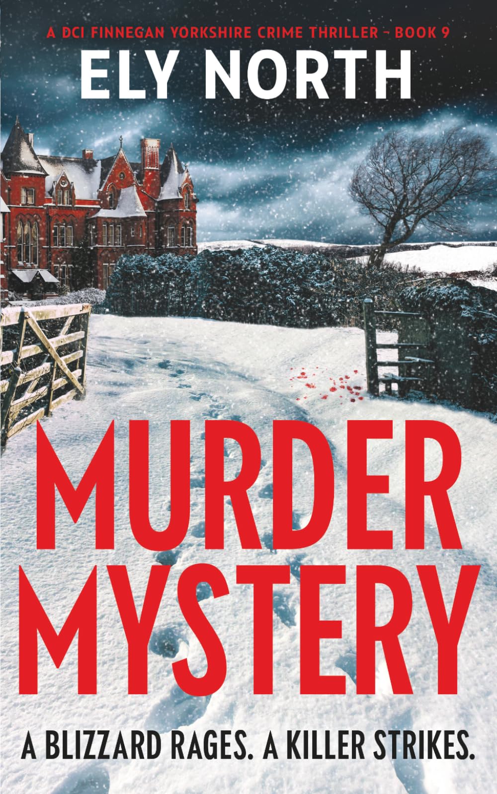 Murder Mystery: A Blizzard Rages. A Killer Strikes: A DCI Finnegan Yorkshire Crime Thriller - Book 9