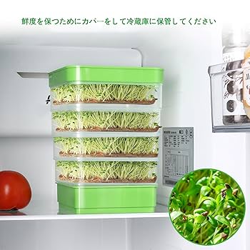 Amazon｜ブロッコリースプラウト 栽培キット スプラウト栽培容器