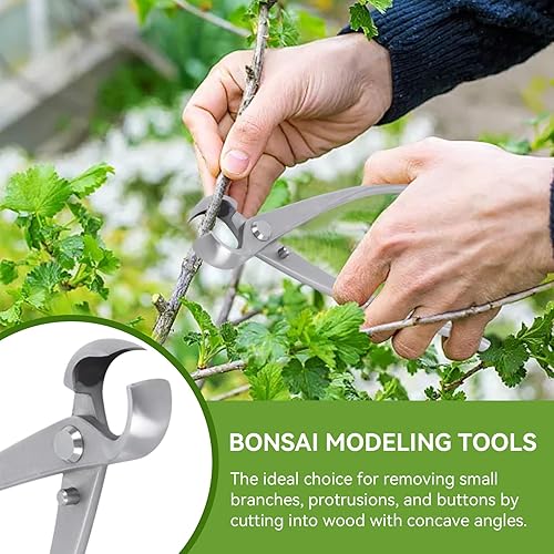Miniatura 4 de Bonsái Tools - Cortador cóncavo de 7.087 in BonsaiCutters Cortador de ramas Bonsái Tijera de árbol podadora BonsaiTrimmer Herramientas de jardinería