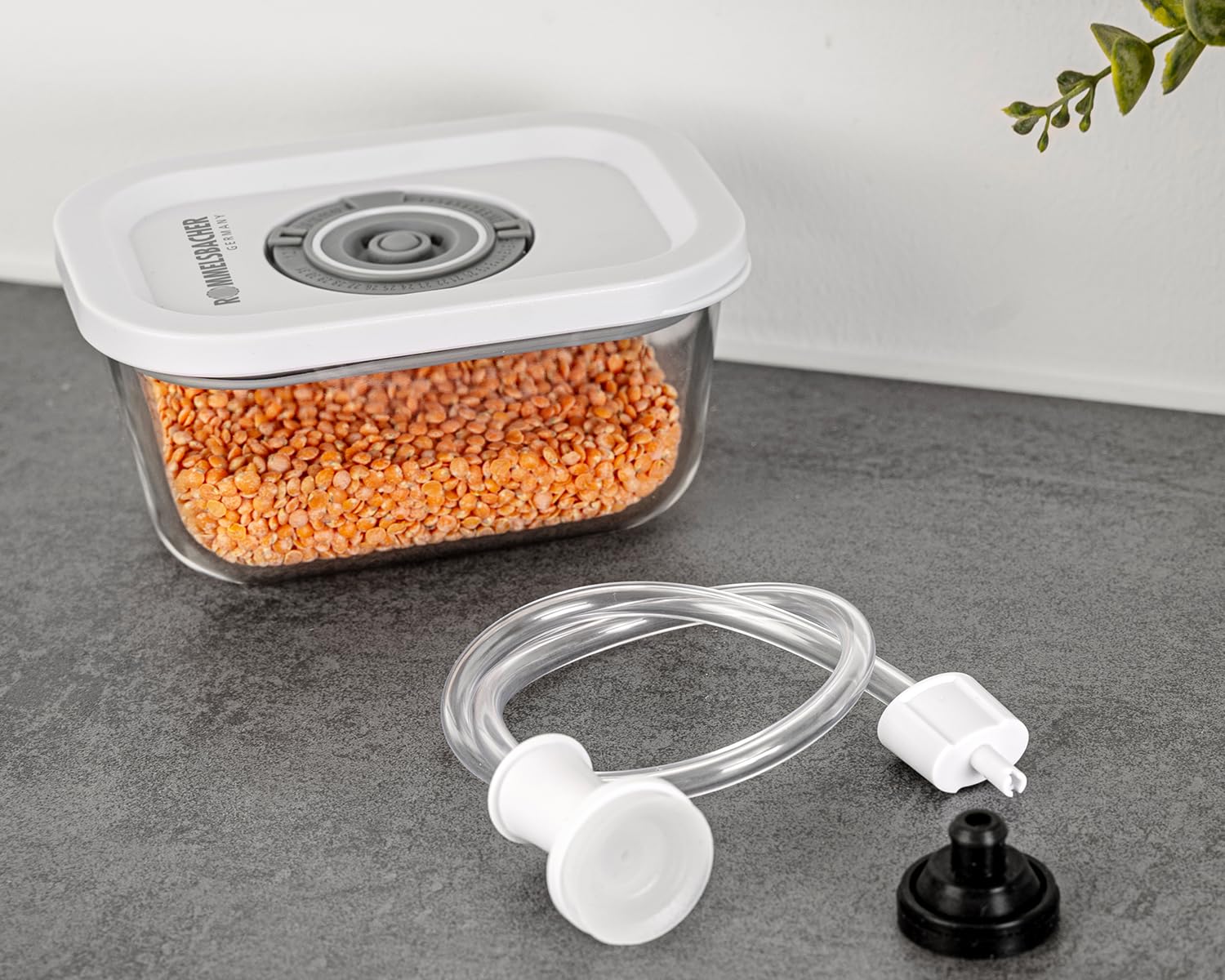 Rommelsbacher Vakuum Behälter Set VCG 1, 3 Behälter, Borosilikatglas, BPA-frei, hitzebeständig, spülmaschinenfest, gefriergeeignet, inkl. Vakuumierschlauch & Adapter für Vakuumierer anderer Marken