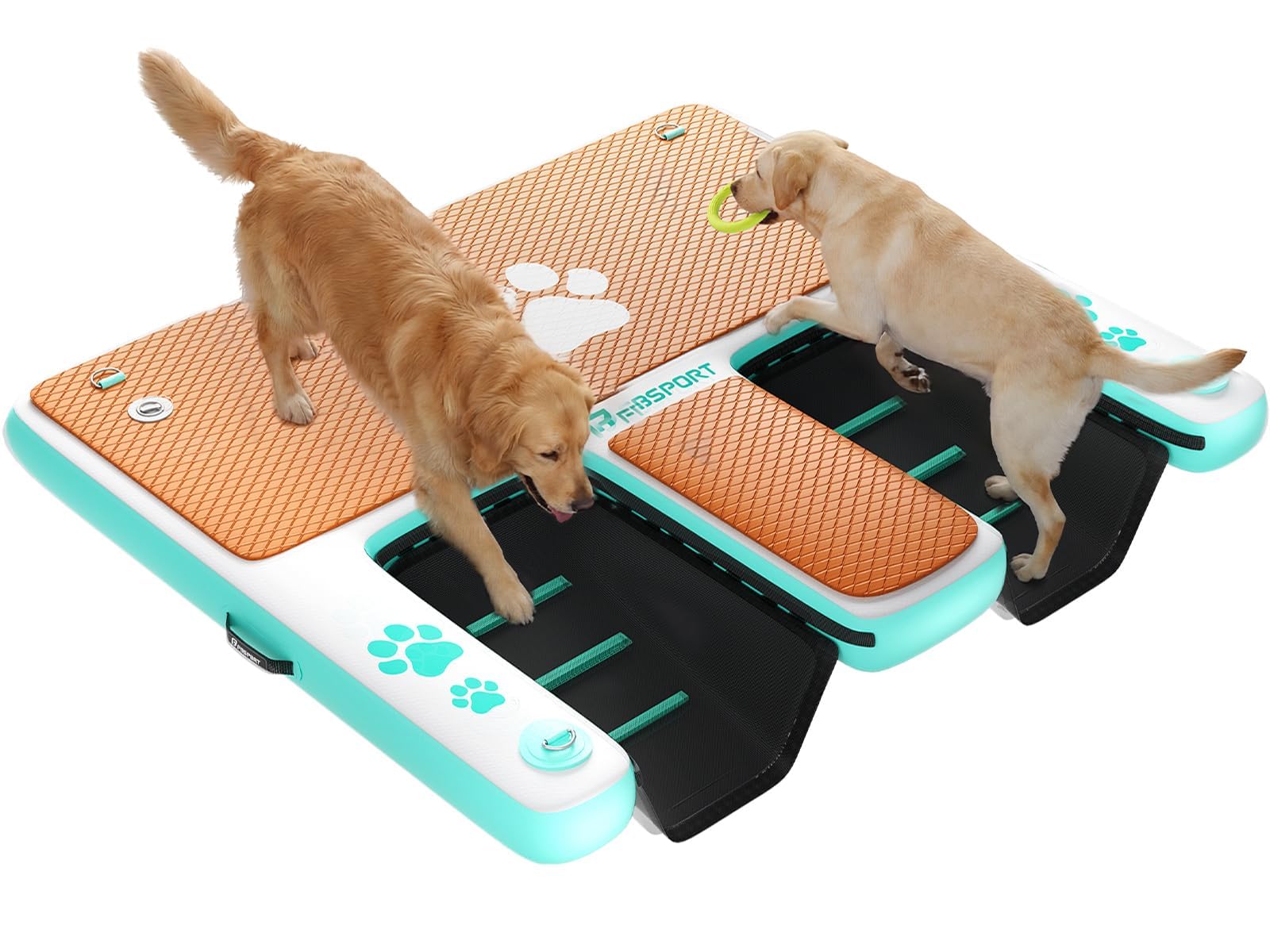 Aufblasbare Hunderampen Wasserrampe mit 2 Leiter, 150x160cm Extra Breite Dog Pool Ramp für Hunde bis zu 180 kg, rutschfeste Hundeboot Leiter Schwimmrampe Welpe Planke für Boote, Dock und Seen