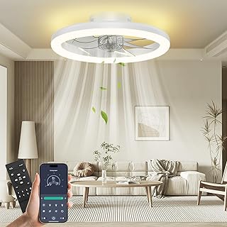 Nalezuns Ceiling Fan, 40 cm Ceiling Fan with Silent Light, Dimmable, 3 Colours for All Seasons