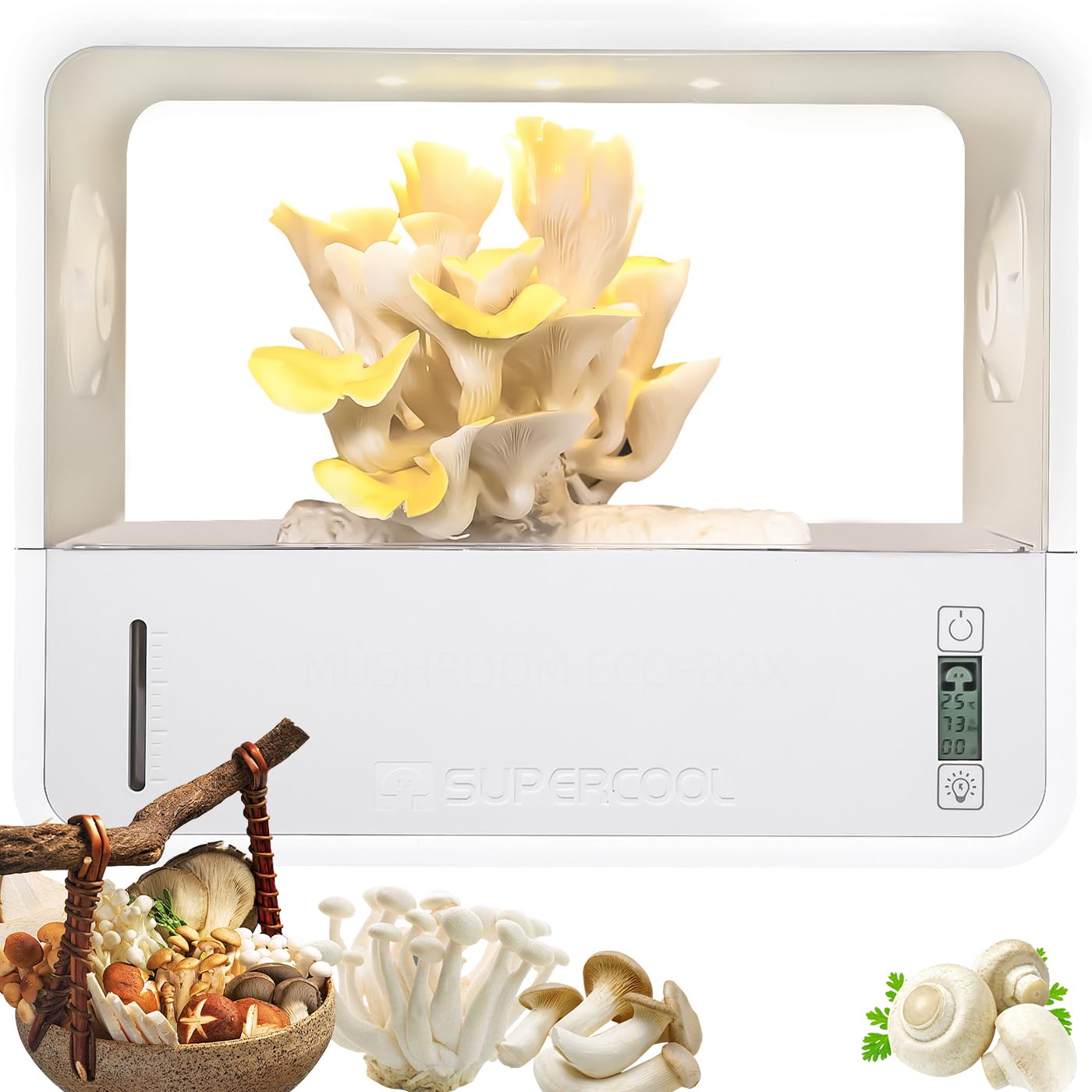 Kit de culture de champignons avec surveillance de la température, humidification automatique, filtre intégré, lumière réglable et affichage numérique pour la culture à la maison