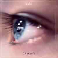 Sherbets きれいな血 クッション 缶ストラップ付 シャーベッツ 浅井健一 Sherbets きれいな血 クッション 缶ストラップ付 シャーベッツ