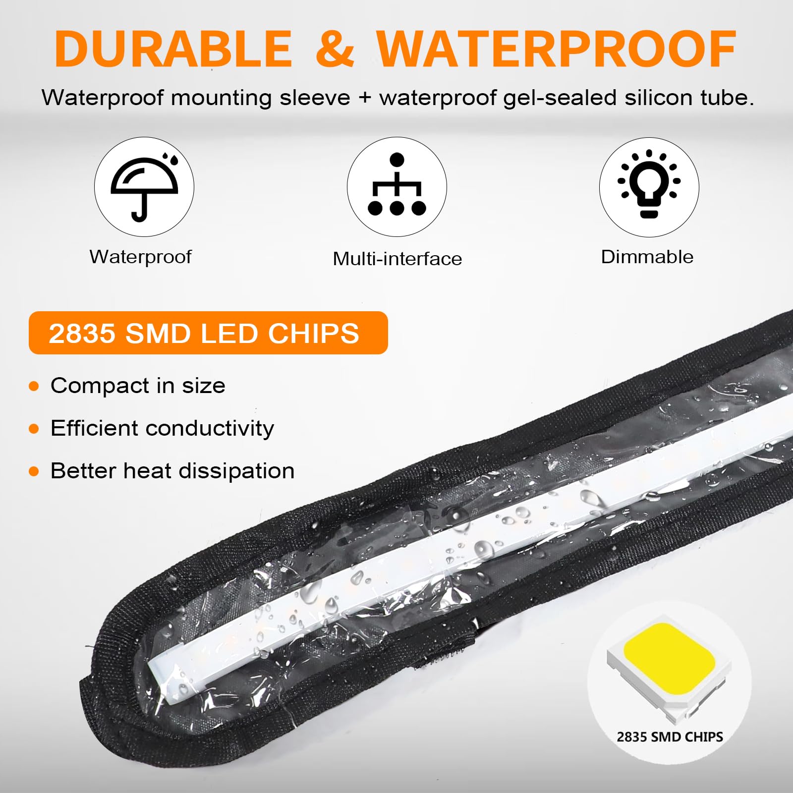 Bande lumineuse DEL 12 V pour auvent de véhicule récréatif avec 2835 puces DEL, étanche IP68 pour camping en plein air et sur terre
