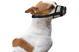 Flintstone Dog Muzzle: Safe and Comfortable Protection for your Small Furry Friend